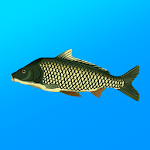 True Fishing. Fishing simulator (MOD, Unlimited Money)